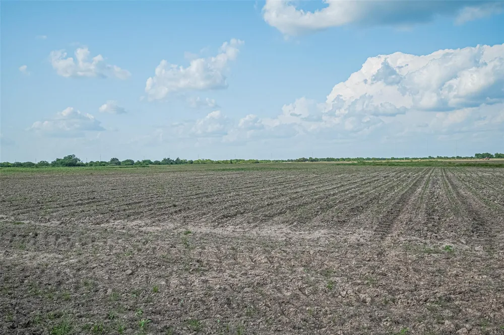 Johnston Rd Wallis, TX 77485