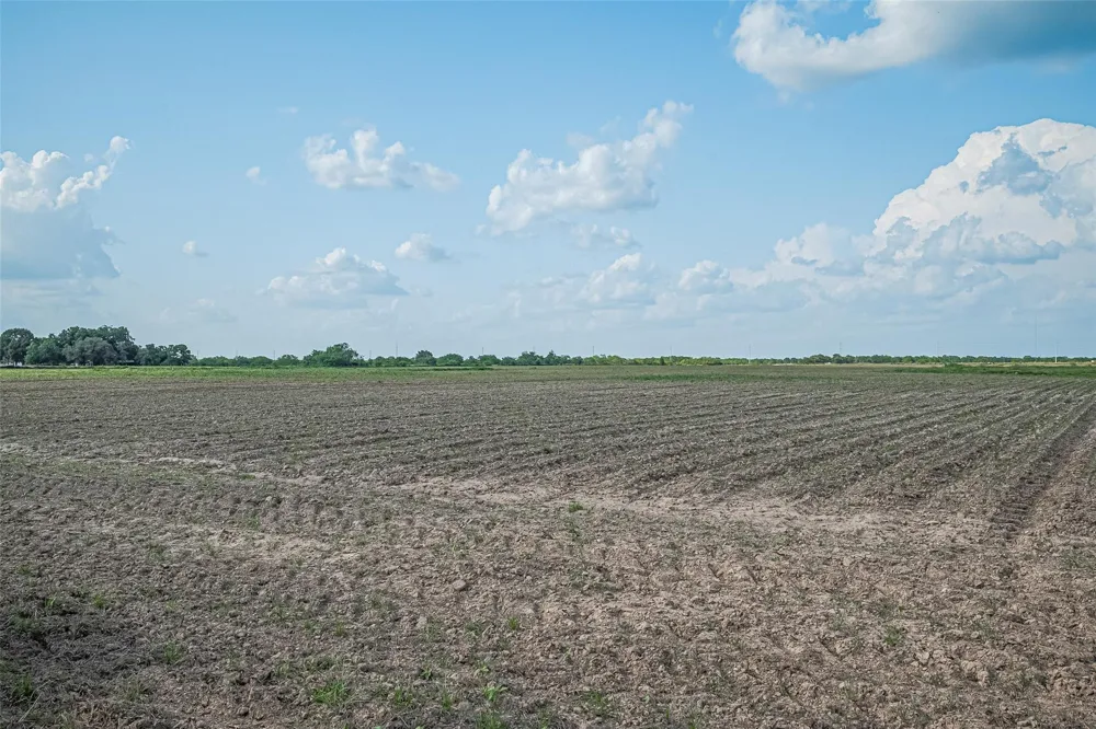 Johnston Rd Wallis, TX 77485