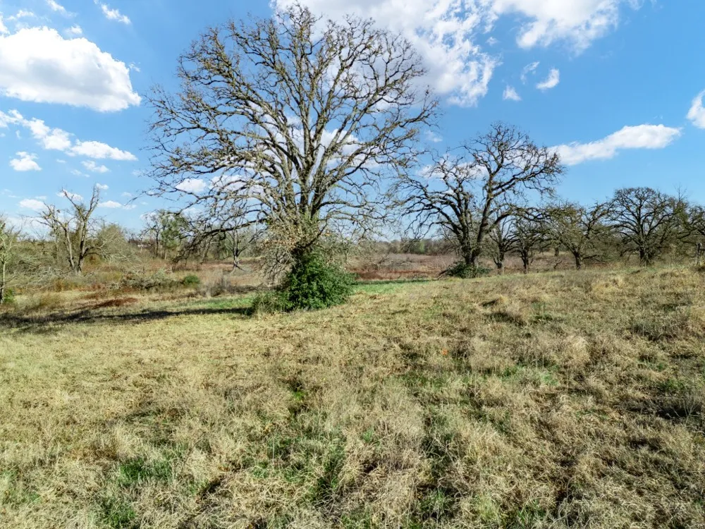 19 County Road 721 Groesbeck, TX 76653