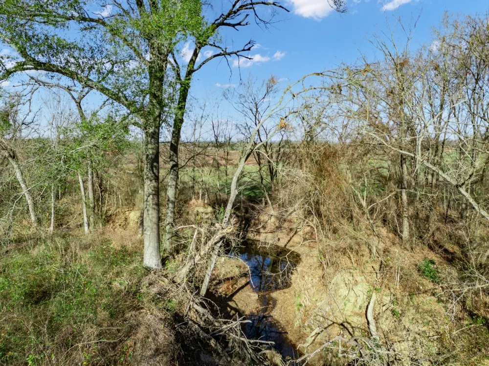19 County Road 721 Groesbeck, TX 76653