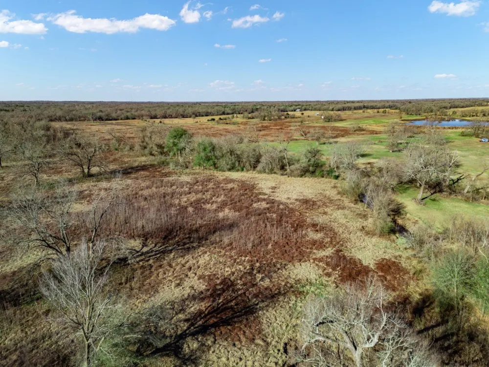 19 County Road 721 Groesbeck, TX 76653