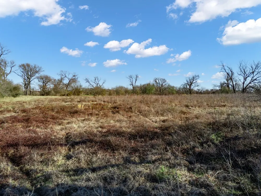19 County Road 721 Groesbeck, TX 76653