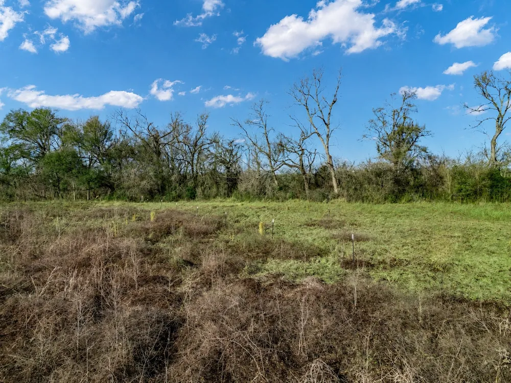 19 County Road 721 Groesbeck, TX 76653