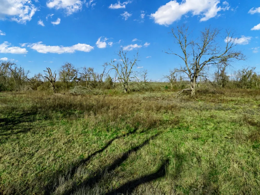 19 County Road 721 Groesbeck, TX 76653