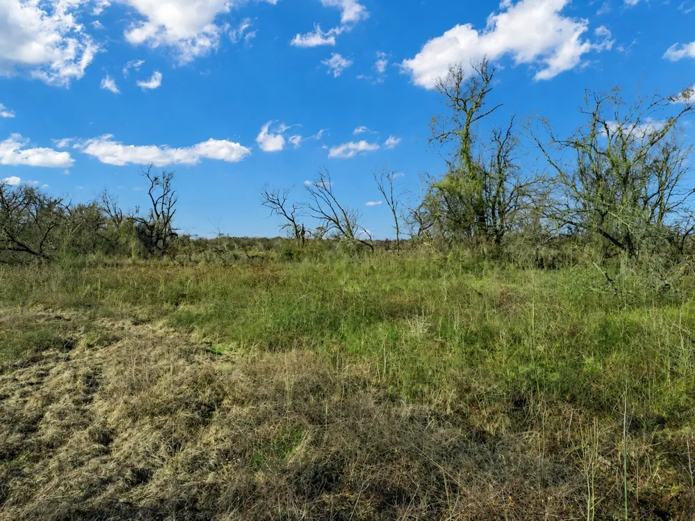 19 County Road 721 Groesbeck, TX 76653