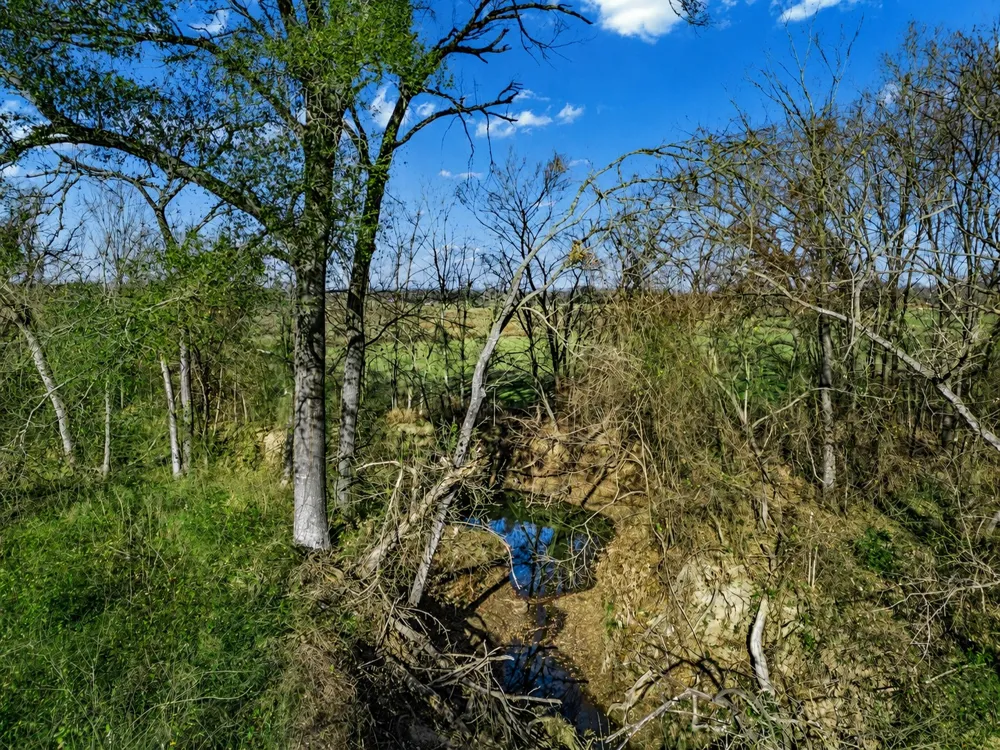 19 County Road 721 Groesbeck, TX 76653