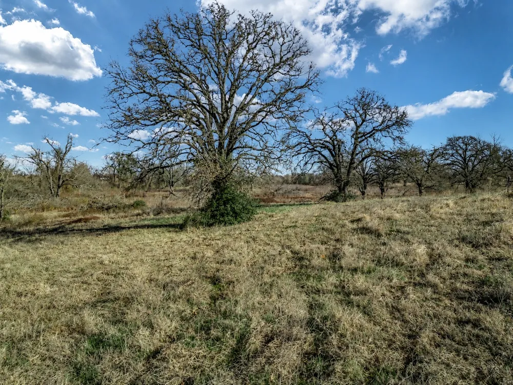 19 County Road 721 Groesbeck, TX 76653