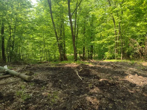 Lot 8 Block 2 Crystal Beach Road