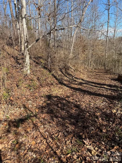 000 E Rambling Creek Road #11