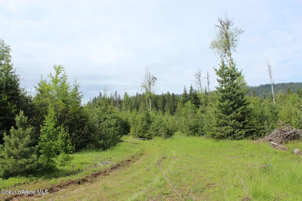 NKA Ropp Rd. Priest River, ID 83856