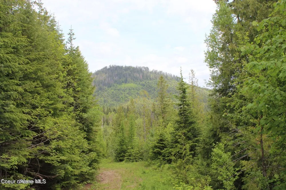 NKA Ropp Rd. Priest River, ID 83856
