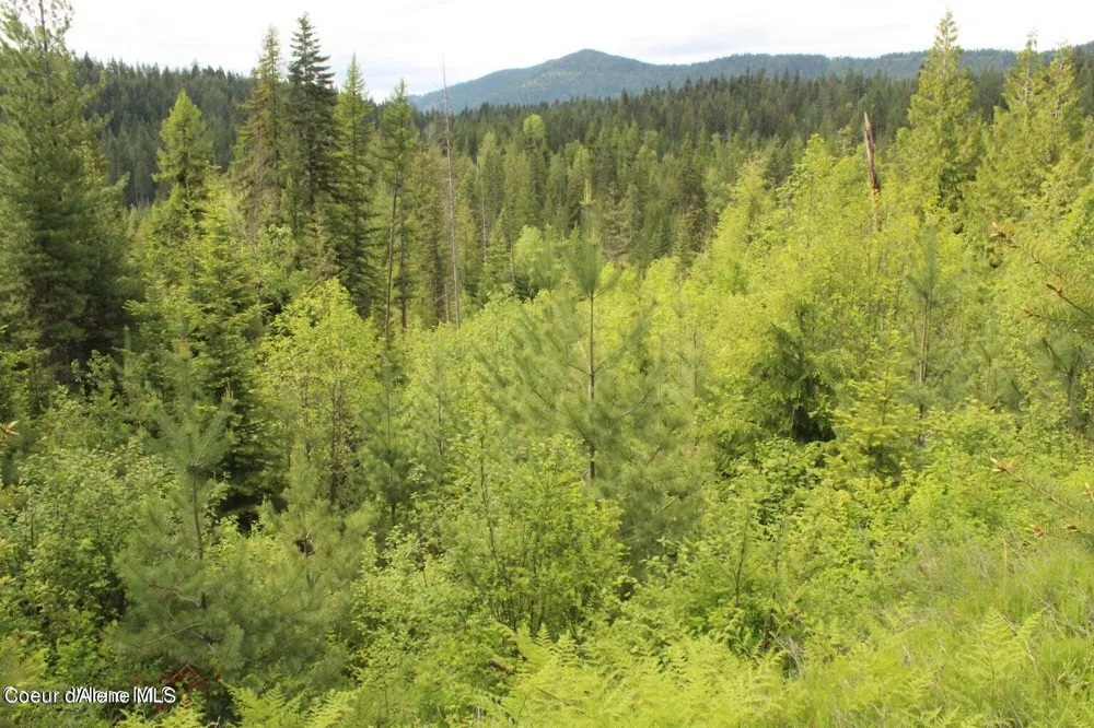 NKA Ropp Rd. Priest River, ID 83856