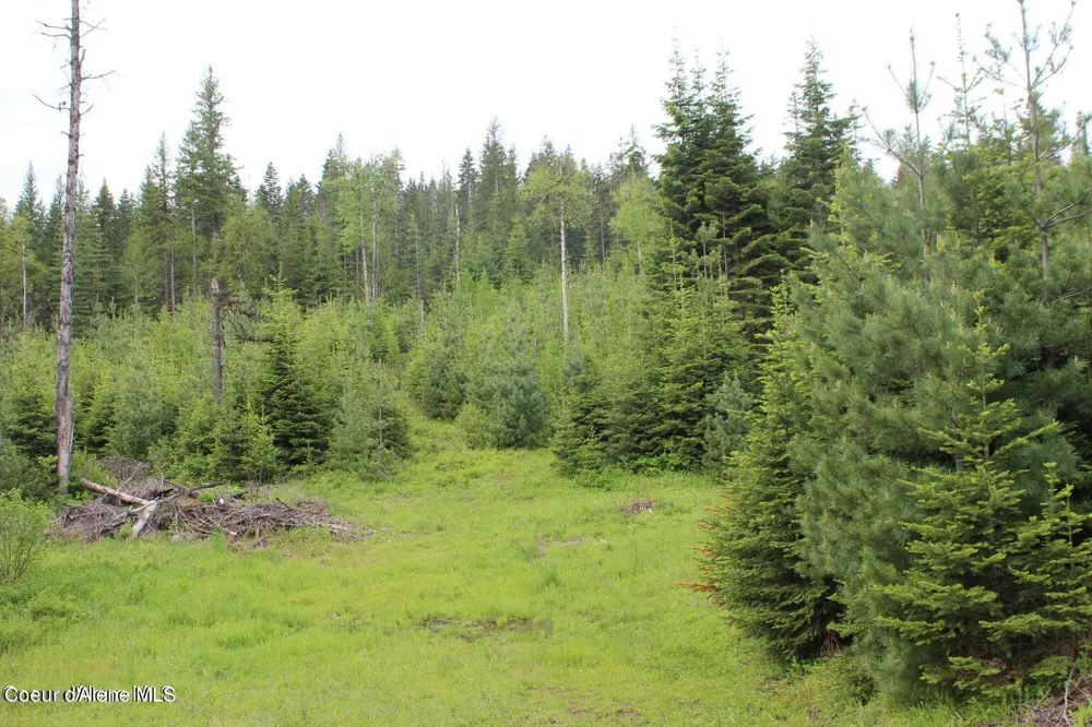 NKA Ropp Rd. Priest River, ID 83856