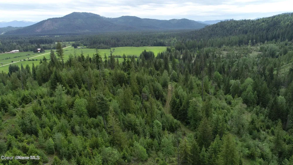 NKA Ropp Rd. Priest River, ID 83856