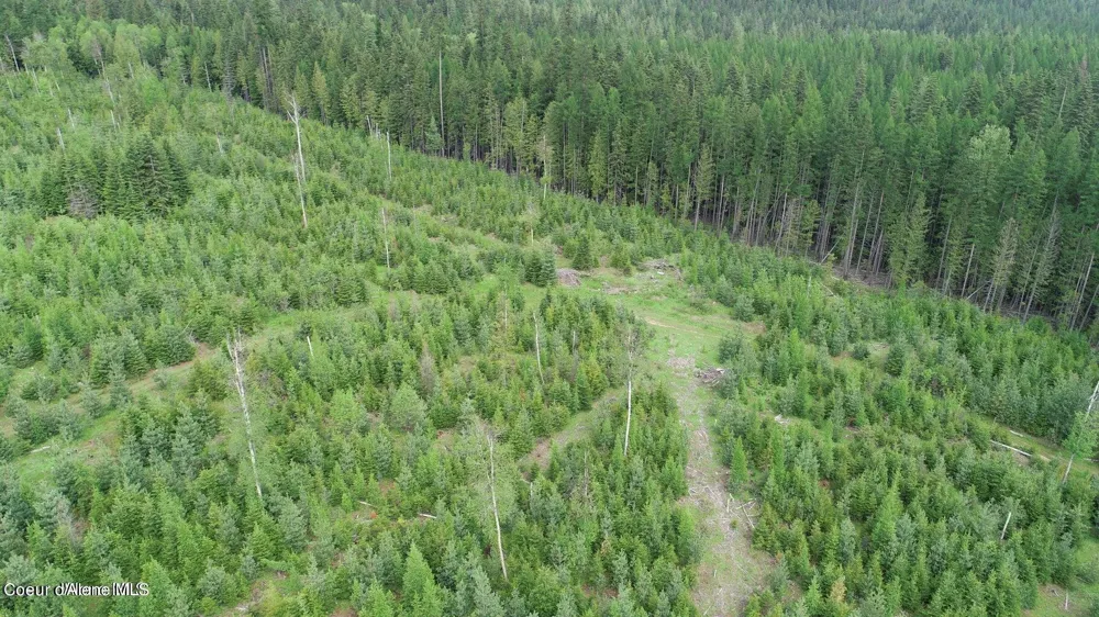 NKA Ropp Rd. Priest River, ID 83856