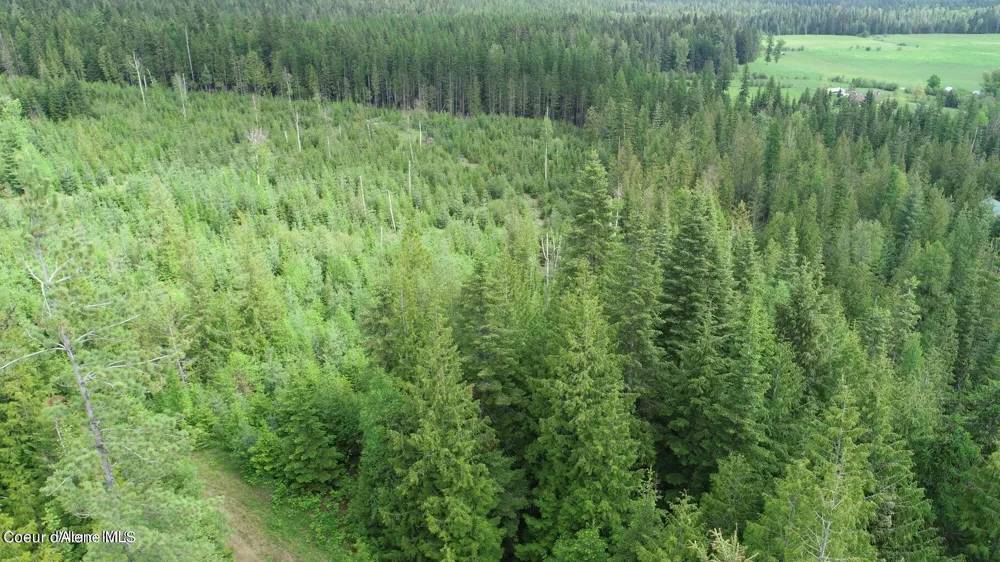 NKA Ropp Rd. Priest River, ID 83856