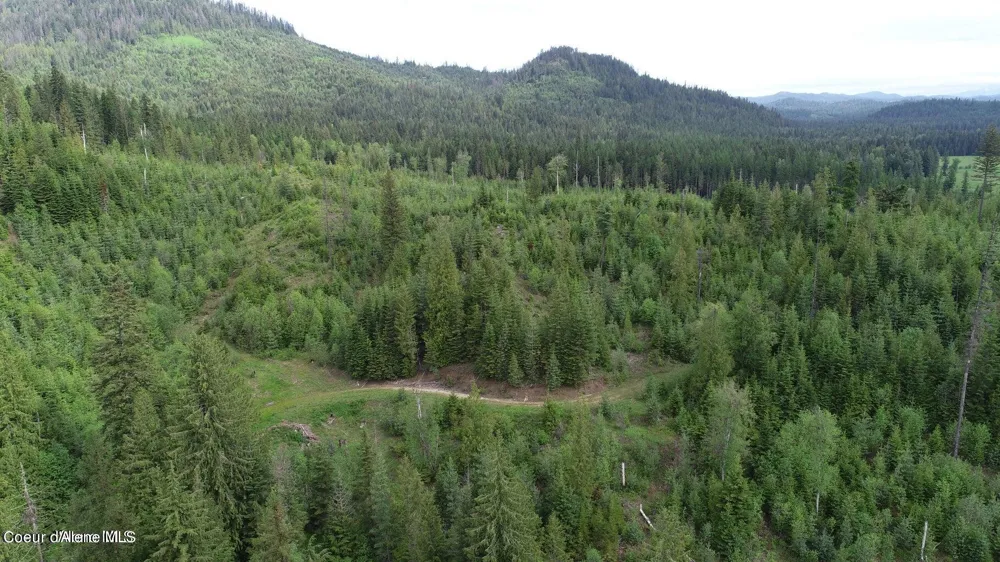 NKA Ropp Rd. Priest River, ID 83856