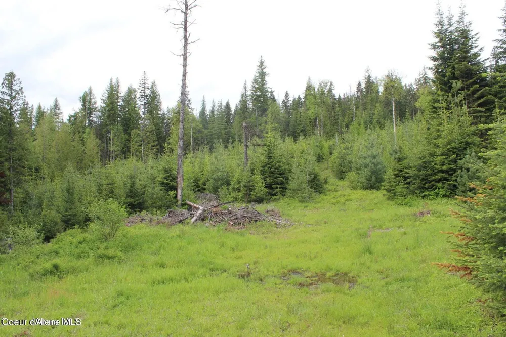 NKA Ropp Rd. Priest River, ID 83856
