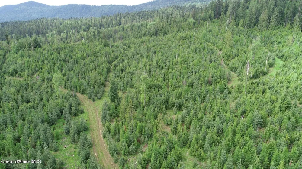 NKA Ropp Rd. Priest River, ID 83856