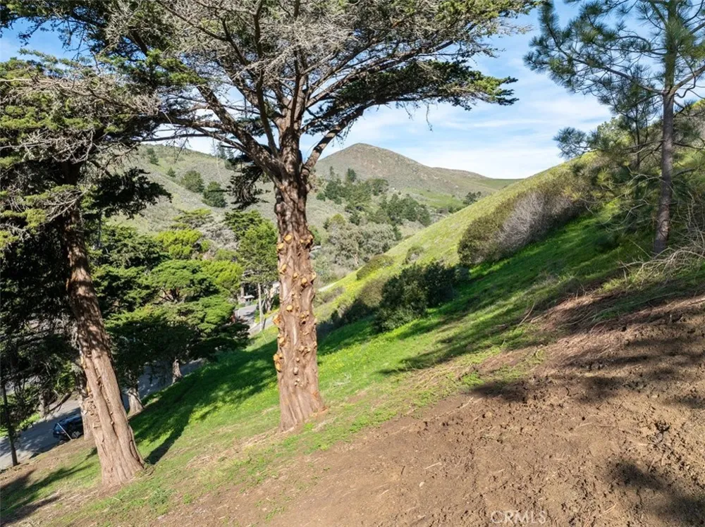 3064 Gilbert Cayucos, CA 93430
