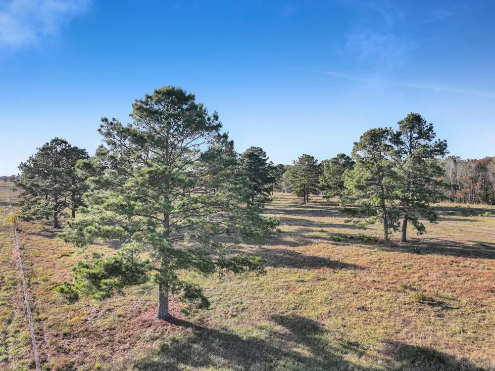 County Road 2058 Hull, TX 77564