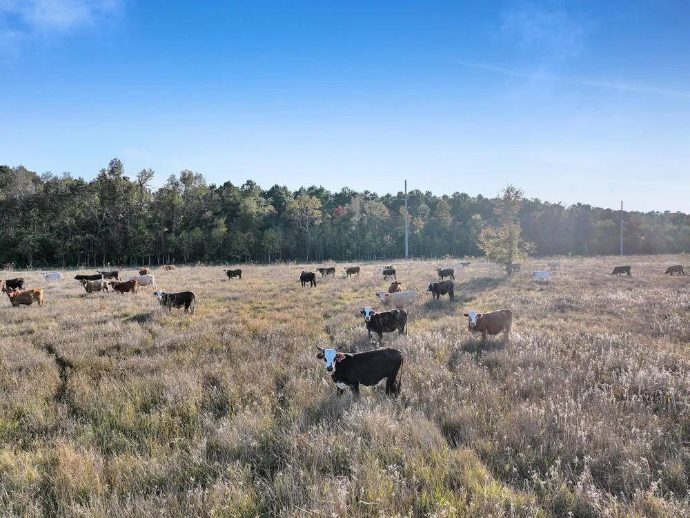 County Road 2058 Hull, TX 77564