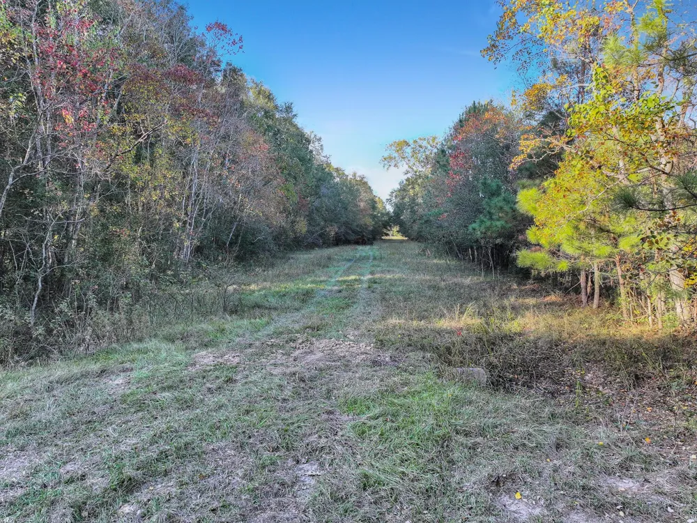 County Road 2058 Hull, TX 77564