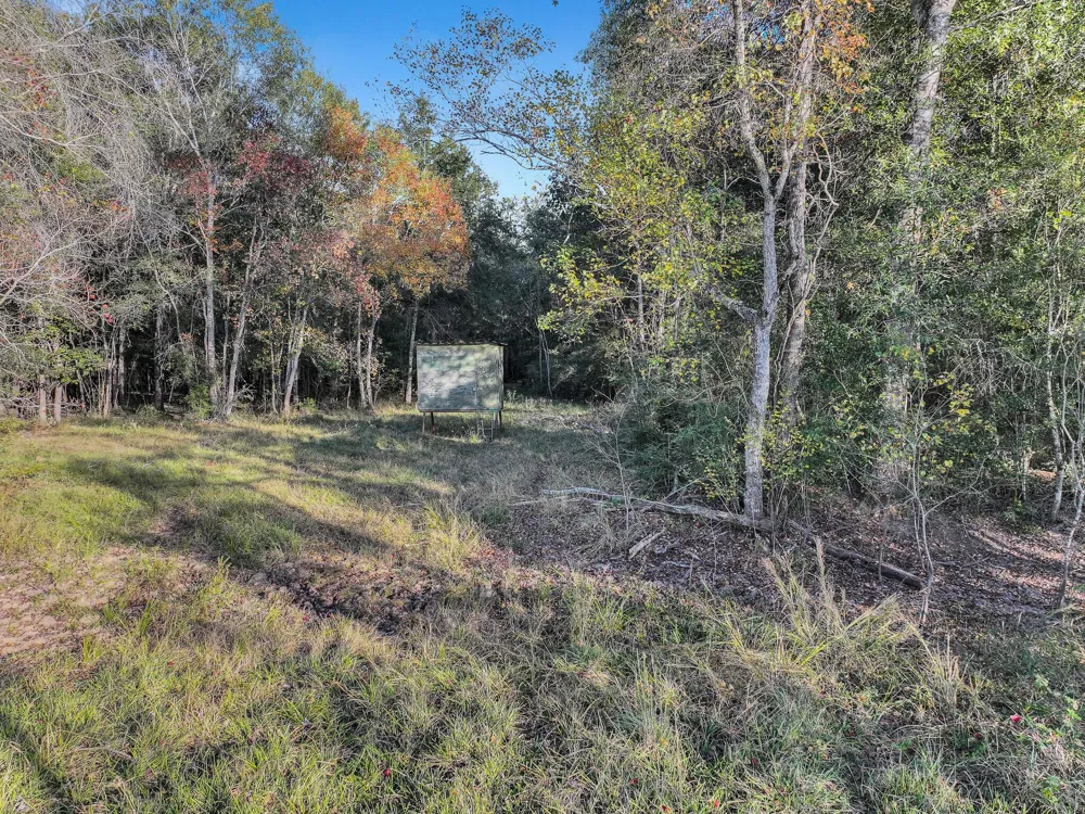 County Road 2058 Hull, TX 77564