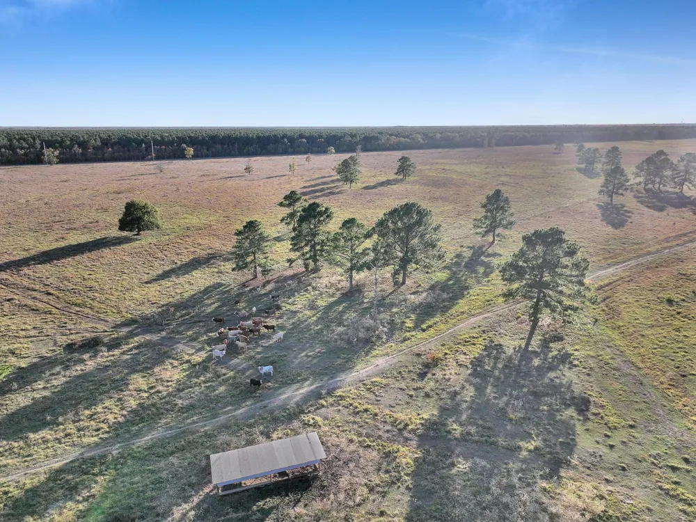 County Road 2058 Hull, TX 77564