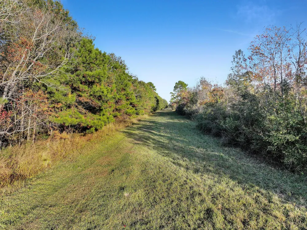 County Road 2058 Hull, TX 77564