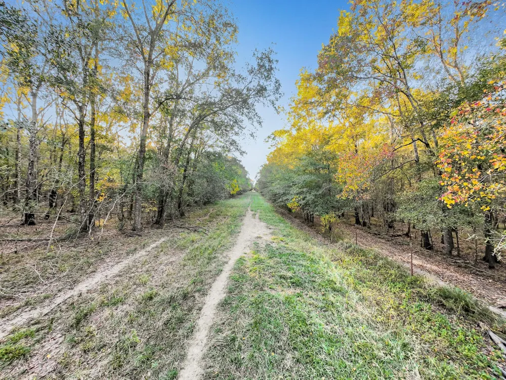 County Road 2058 Hull, TX 77564
