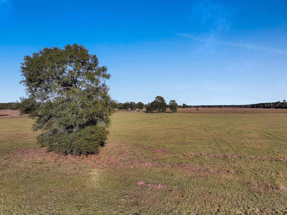 County Road 2058 Hull, TX 77564