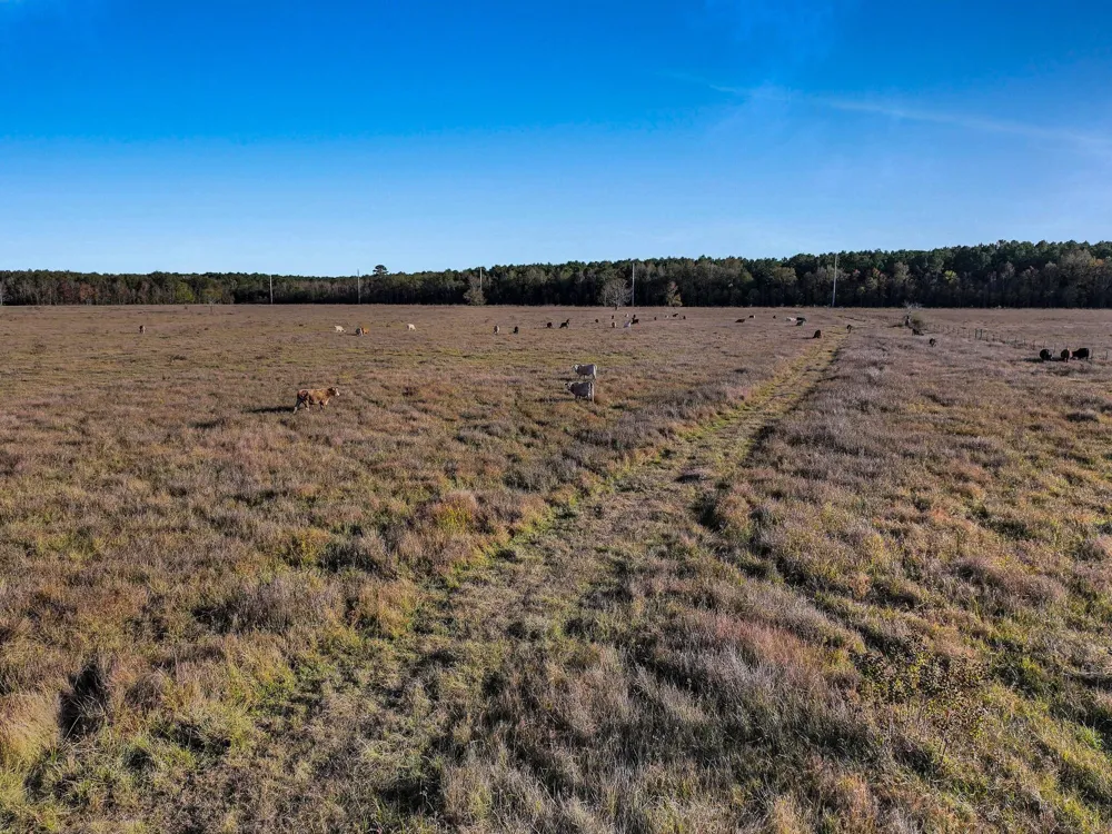 County Road 2058 Hull, TX 77564