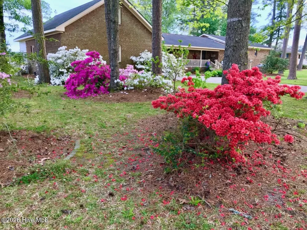 651 Smith Shore Road Belhaven, NC 27810