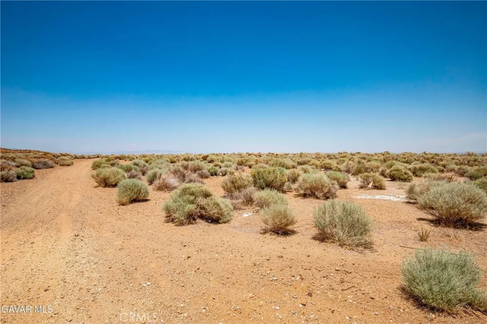 12 Joshua Ranch Lot On Yianni Court Palmdale, CA 93551