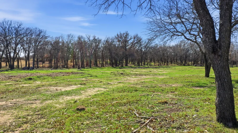 740 FM 1189 Millsap, TX 76066