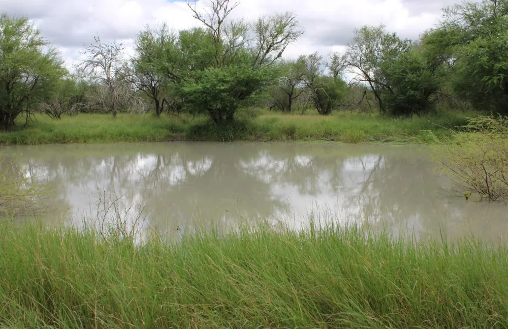 375 W County Road 401 Road Premont, TX 78355