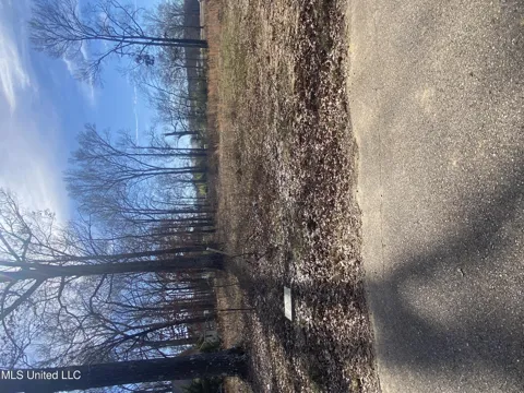 Nash Drive
