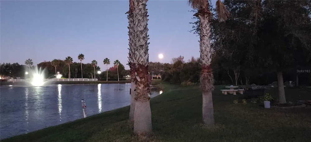10503 PALM COVE AVENUE Tampa, FL 33647