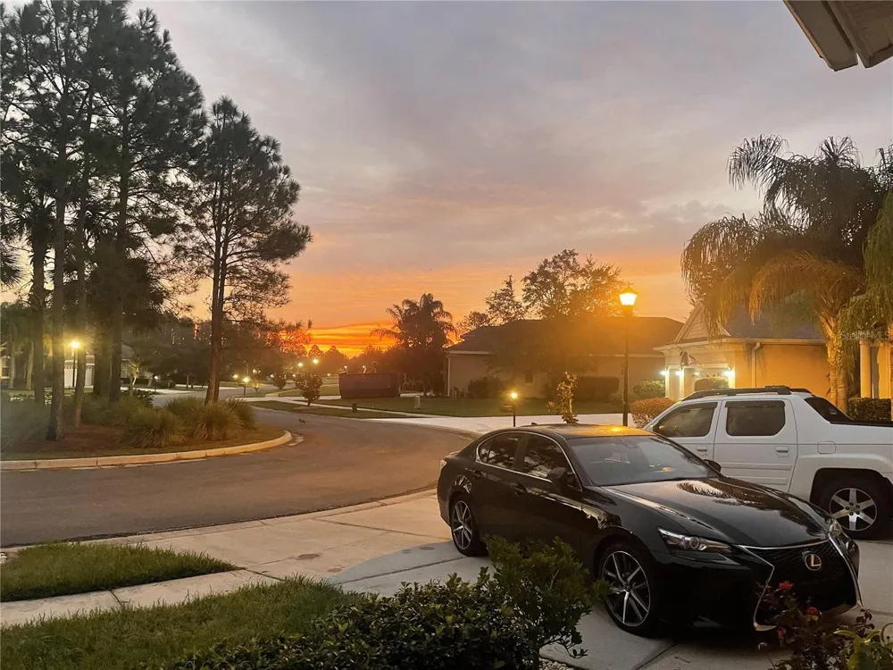 10503 PALM COVE AVENUE Tampa, FL 33647