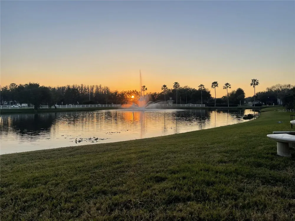 10503 PALM COVE AVENUE Tampa, FL 33647
