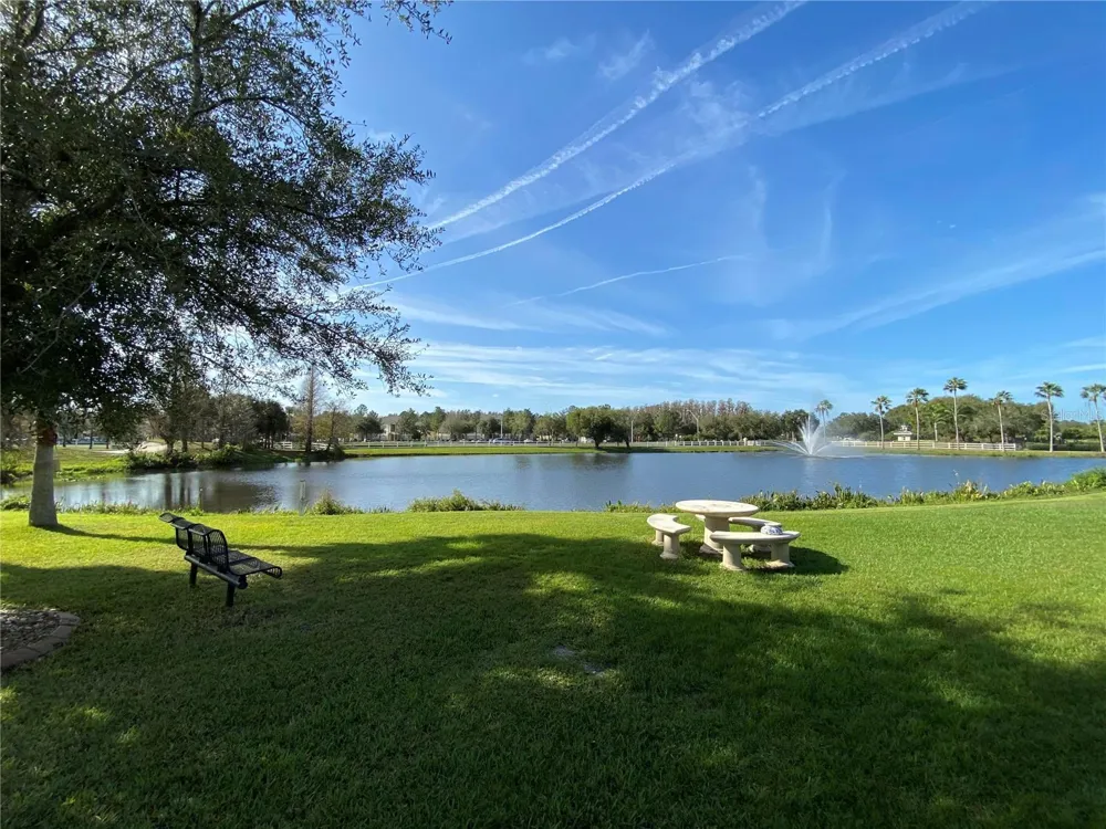10503 PALM COVE AVENUE Tampa, FL 33647
