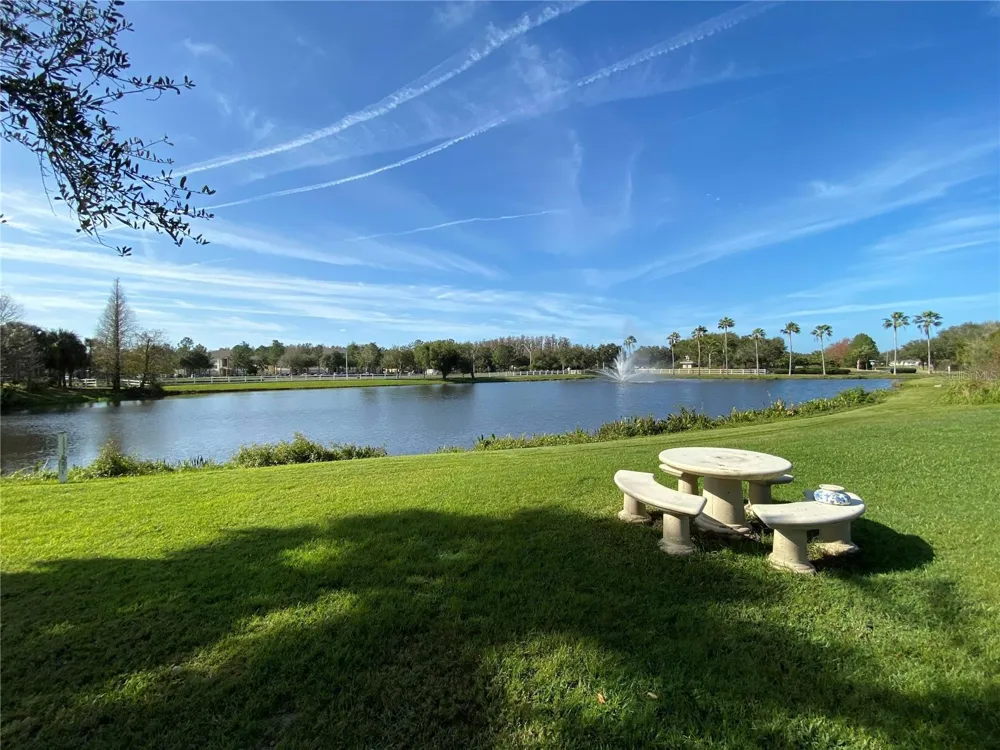 10503 PALM COVE AVENUE Tampa, FL 33647