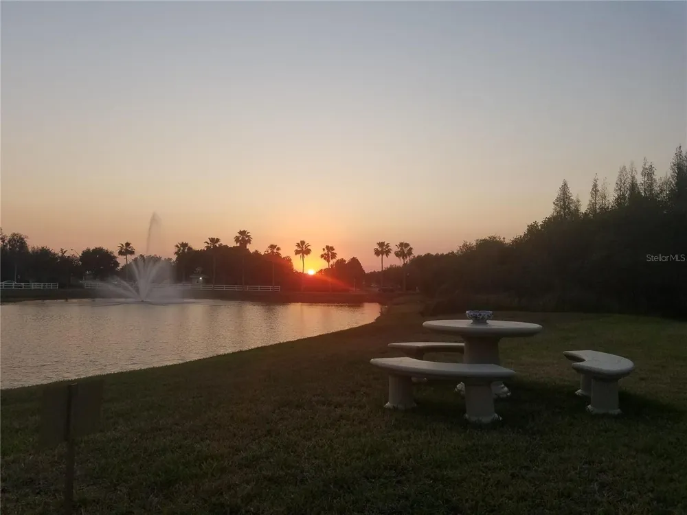 10503 PALM COVE AVENUE Tampa, FL 33647