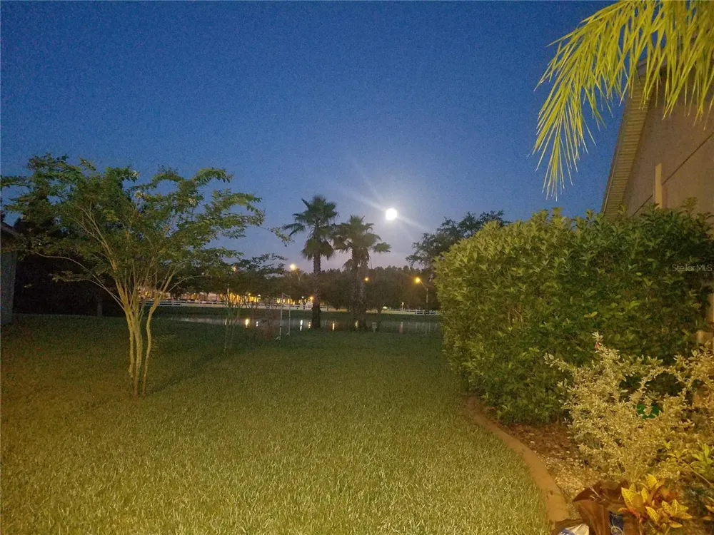 10503 PALM COVE AVENUE Tampa, FL 33647