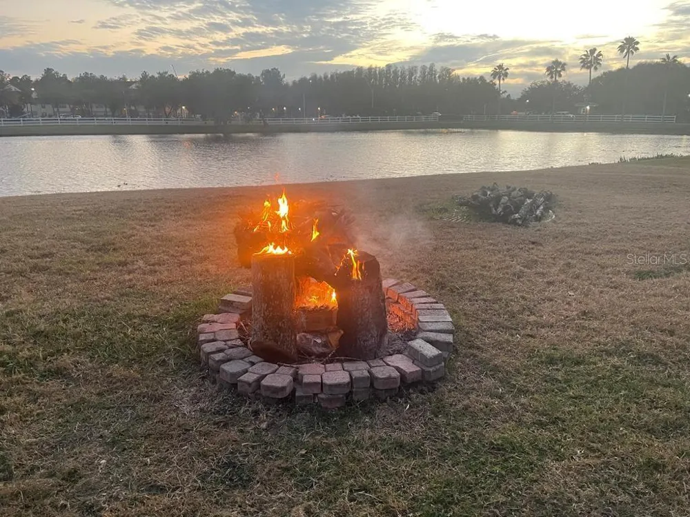 10503 PALM COVE AVENUE Tampa, FL 33647