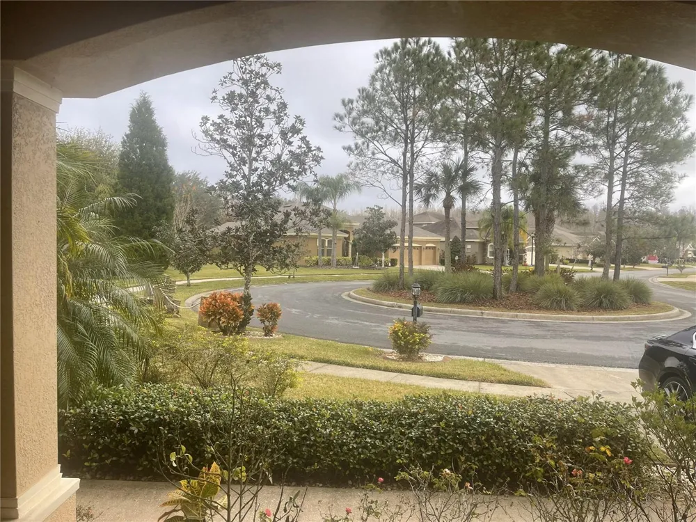 10503 PALM COVE AVENUE Tampa, FL 33647
