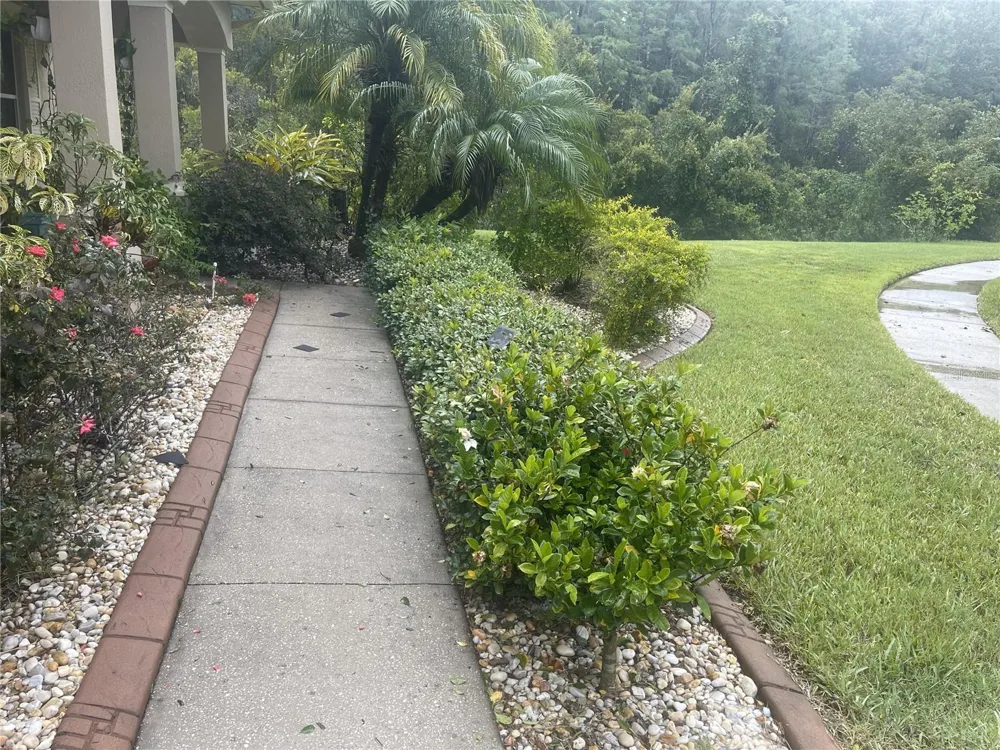 10503 PALM COVE AVENUE Tampa, FL 33647