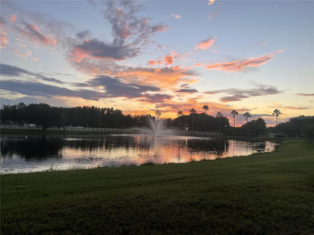 10503 PALM COVE AVENUE Tampa, FL 33647