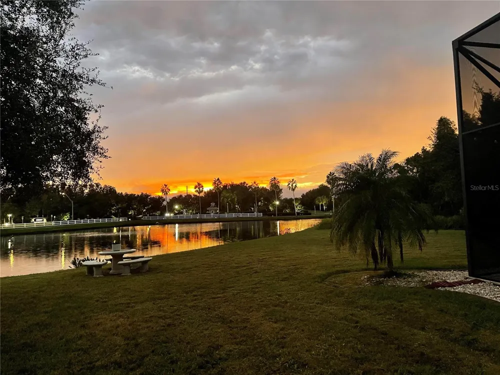 10503 PALM COVE AVENUE Tampa, FL 33647